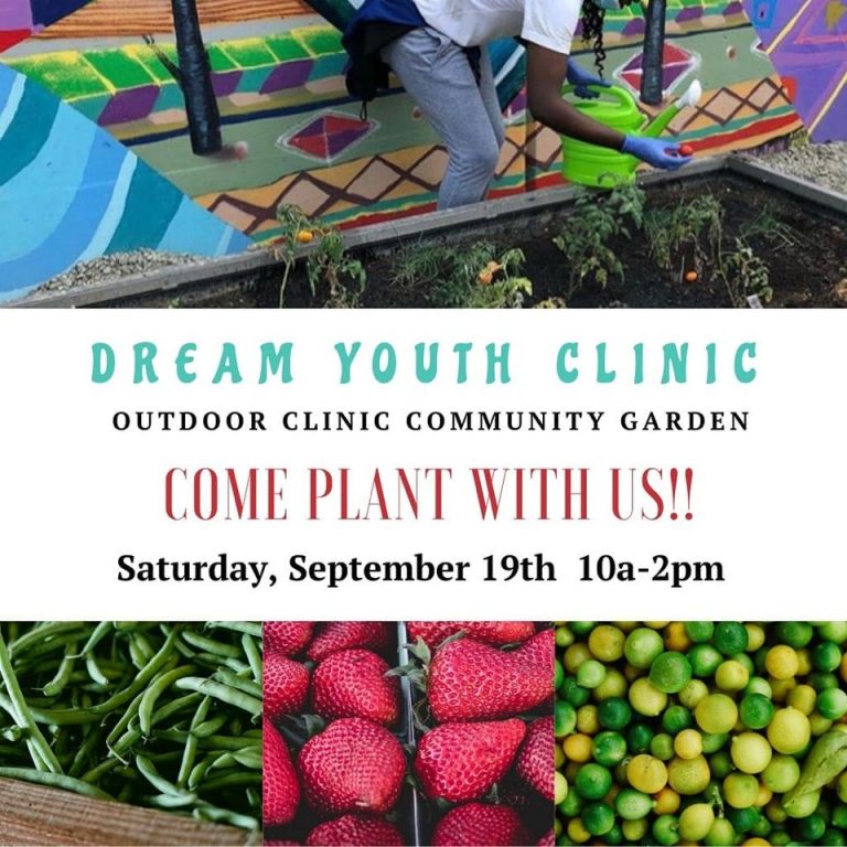 Dream Youth Clinic – Outdoor Community Garden